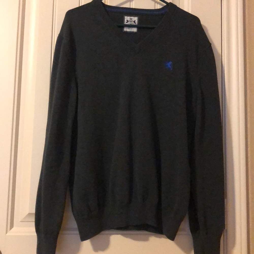 Express v-neck sweater